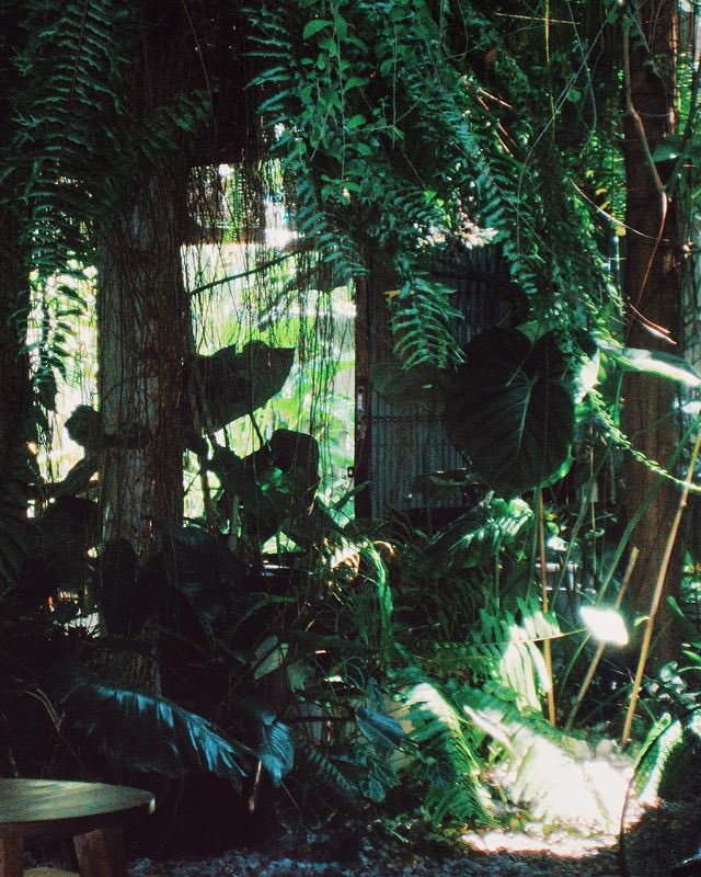 이른 イルン tweet media