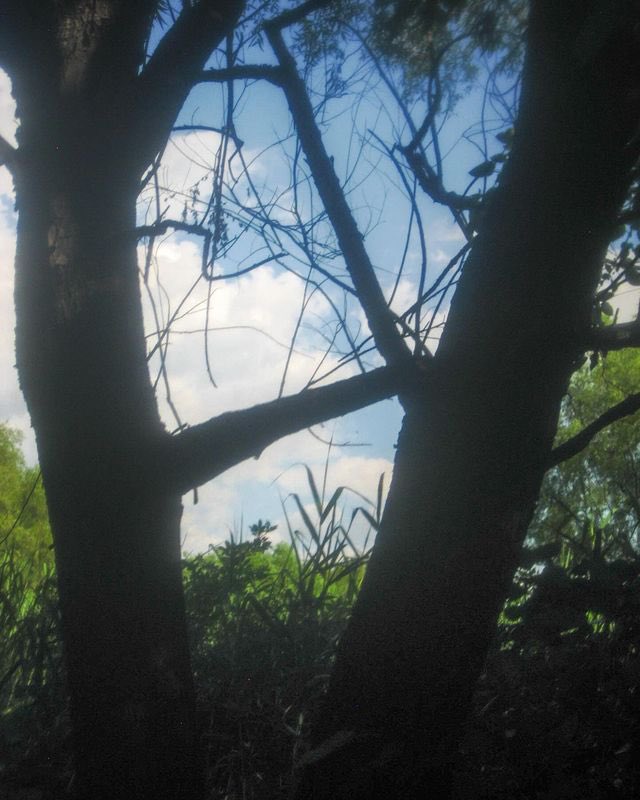 이른 イルン tweet media