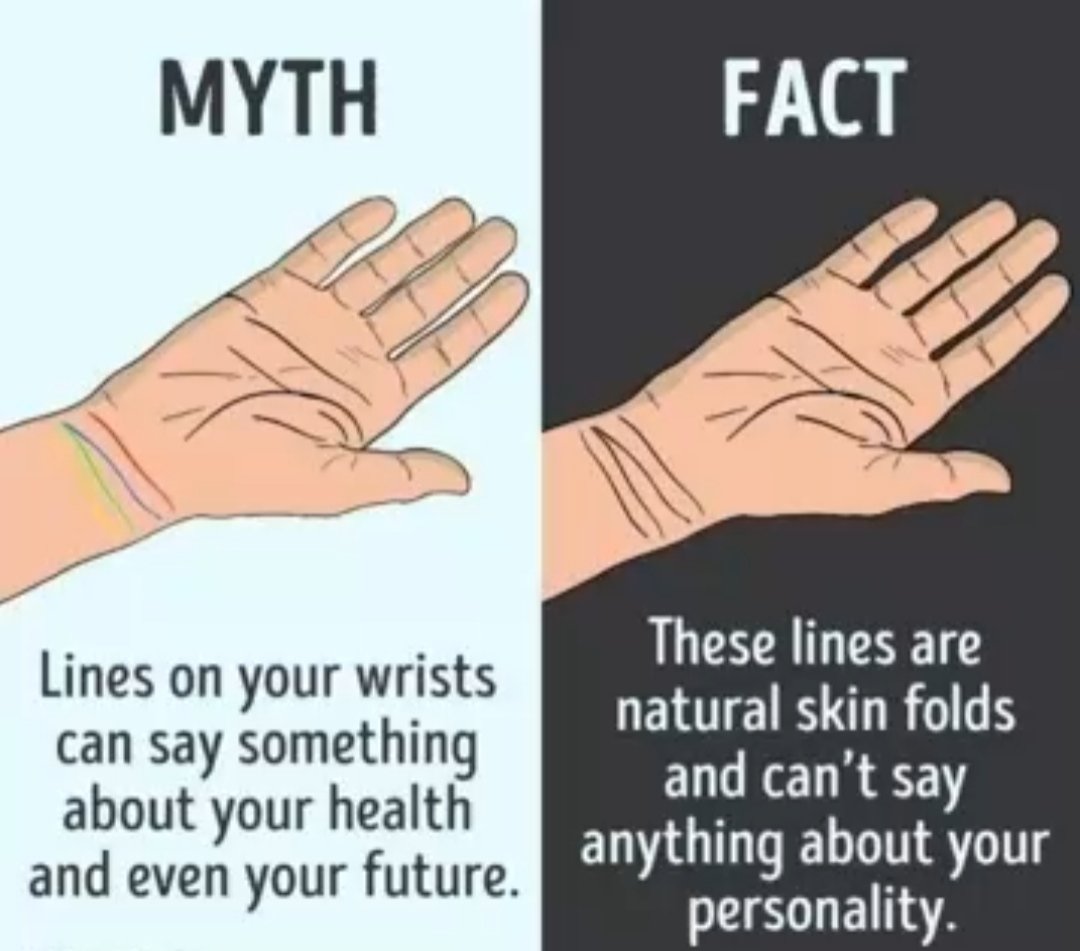 Myth Vs Fact (@mathvvsfact) on Twitter photo 