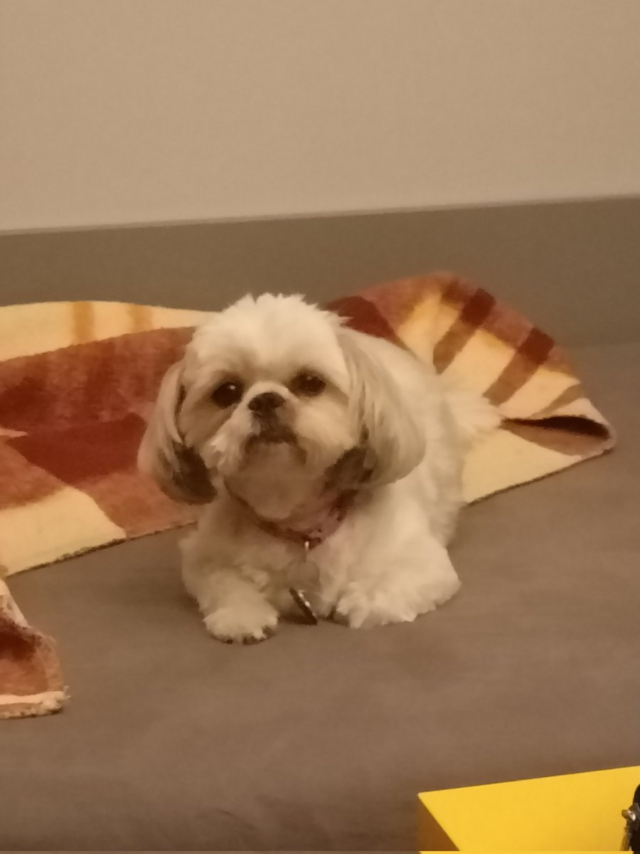 Nietypowy post ode mnie natomiast

Poszukuję współlokatora/współlokatorki do mieszkania w Lublinie. Mieszkanie 60m2, prosto po całkowitym remoncie, umeblowane, sprzęty nowe nieużywane, centrum Lublina na przeciwko KUL-u. Więcej informacji udzielę na priv. Proszę bardzo o rt ♥️