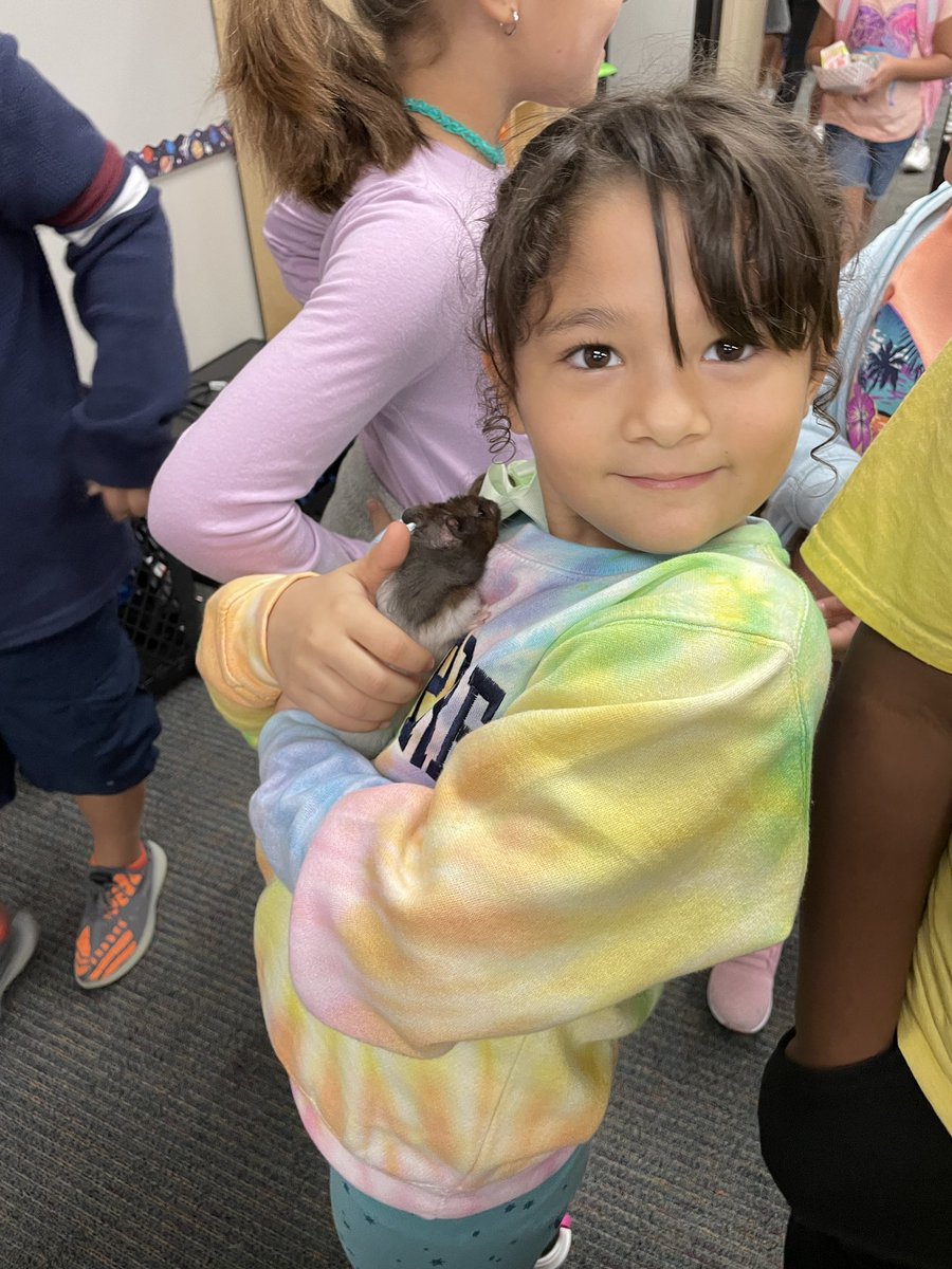 We’ve loved having our class pet Bucatini the hamster for the last couple of weeks! The students are sad to see her go, but are excited for the next animal we get to borrow from the SRC. <a href="/BangElementary/">Bang Elementary</a>