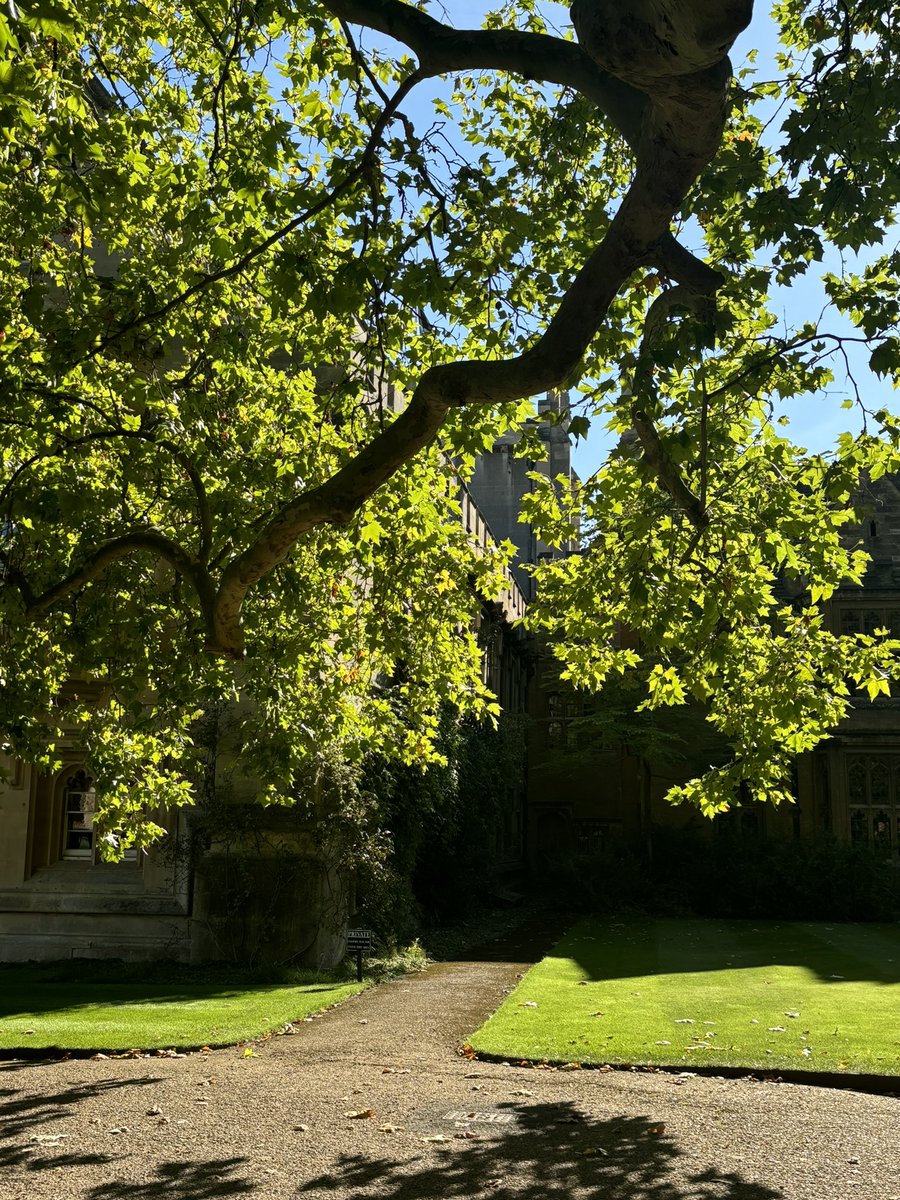 Magdalen College tweet media