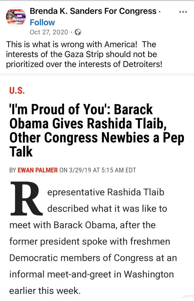 Jill Stein’s Green Party is running a candidate against Rashida Tlaib in November.