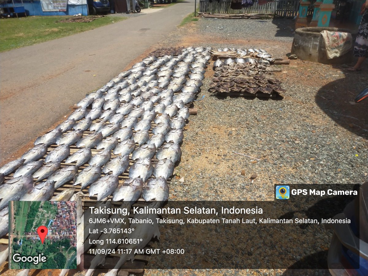 lasriyantoplh's tweet photo. Rabu(11/09/2024) Lasriyanto,S.Pi
Pendampingan di KUB Harapan Bersama, Di Desa Tabanio, Kec. Takisung , Panin ikan Tengiri Kering Tangkapan Nelayan  185 kg, dengan Harga Rp 100000/Kg #GiatLuhkanSatminkalBwi #TnhLaut #Panen
@bppp_banyuwangi 
@puslatluhkp
@Luhlapor
@TuguDian https://t.co/tRNk9HzLyf