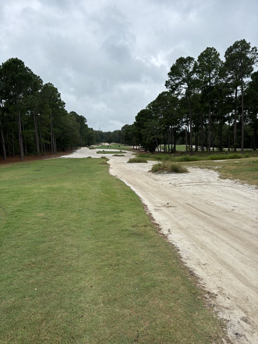 Fredrik Gustafsson tweet media