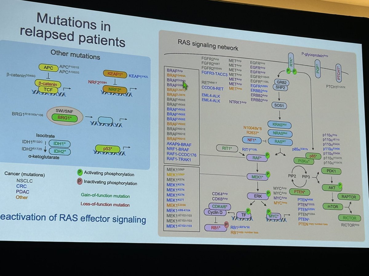 Anirban Maitra (@aiims1742) on Twitter photo I found these three summary slides from <a href="/cjder23/">Channing Der</a> on (left) diverse mechanisms of action for KRAS inhibitors & (center, right) acquired genetic mechanisms of resistance to KRASi really useful.
#AACRPan24 I found these three summary slides from <a href="/cjder23/">Channing Der</a> on (left) diverse mechanisms of action for KRAS inhibitors & (center, right) acquired genetic mechanisms of resistance to KRASi really useful.
#AACRPan24