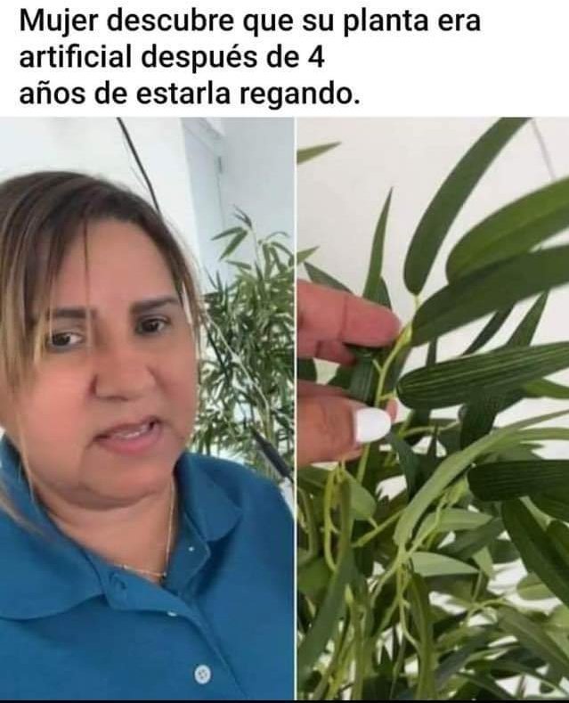 Se verán cosas🤣🤣