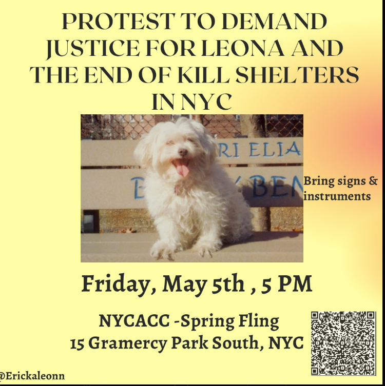 PhaedraXTeddy's tweet photo. Did you know, #NYC pays 34 million to their #KILLShelters, and they #KILLtheDogs and #KILLtheCats?
Did you know about, have you seen the financial corruption scandals currently in #NYC?
Murdered Dogs and cats can't get investigations going into what happens to money meant for them.