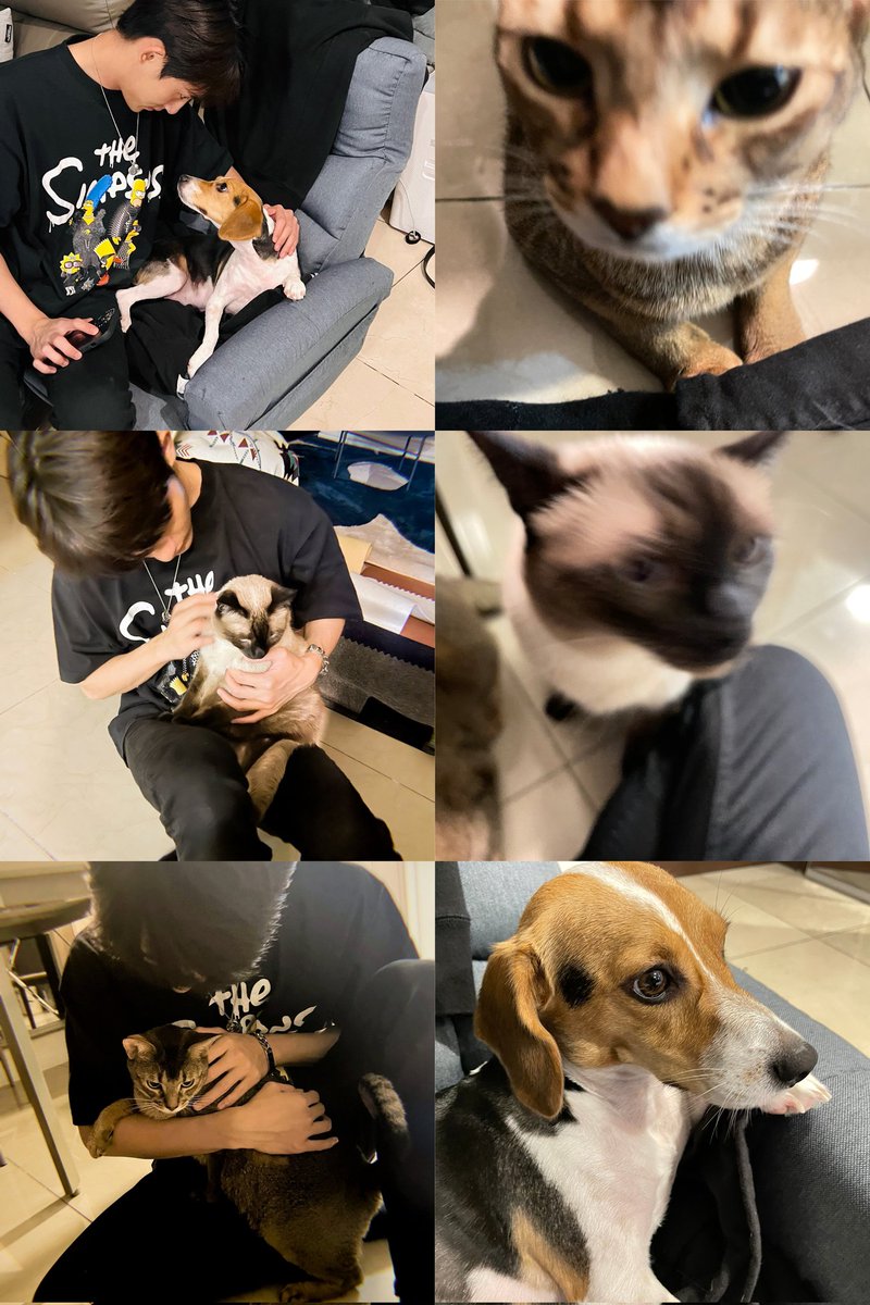 wayvpetfeed's tweet photo. winwin with the trio https://t.co/vrOhYcApk3