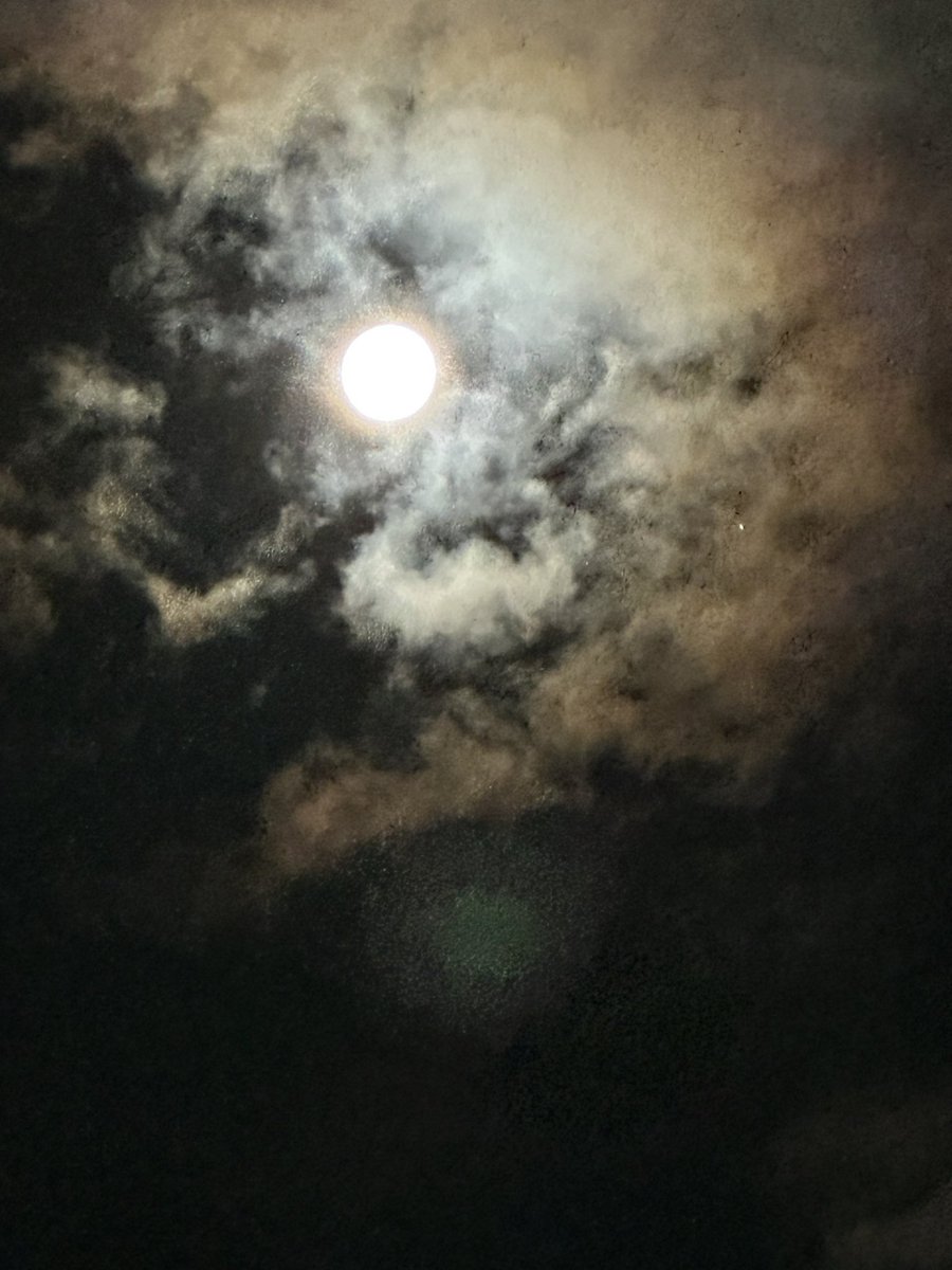 uSpmdH6HllmZtiw's tweet image. #中秋の名月

みんな載せてるから
撮ってみたょ😊
上手に撮れないけど🤣

雷⚡️から雨☔少し降ってやんで
雲☁️の間から見えました🌕

おやすみなさい💤