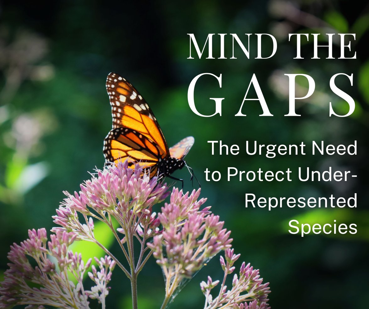 NatureServe (@natureserve) on Twitter photo New research from NatureServe, <a href="/NWF/">National Wildlife Federation</a>, and <a href="/sfiprogram/">Sustainable Forestry Initiative</a> highlights the need to close gaps in conservation efforts, especially for underrepresented species like bees and plants. With 2025 State Wildlife Action Plan revisions coming soon, this study provides timely New research from NatureServe, <a href="/NWF/">National Wildlife Federation</a>, and <a href="/sfiprogram/">Sustainable Forestry Initiative</a> highlights the need to close gaps in conservation efforts, especially for underrepresented species like bees and plants. With 2025 State Wildlife Action Plan revisions coming soon, this study provides timely