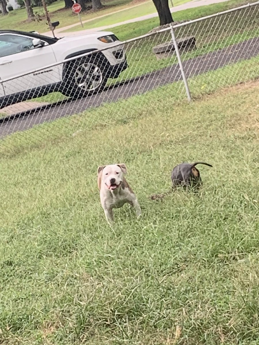 TBC 2smoothfn tweet media