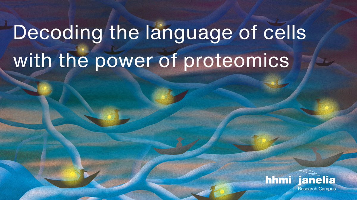 The Li Lab <a href="/HHMIJanelia/">HHMI | Janelia</a> &amp; colleagues at Janelia, <a href="/Stanford/">Stanford University</a> &amp; <a href="/broadinstitute/">Broad Institute</a> are developing user-friendly tools to help scientists translate cellular communication &amp; uncovering new details about how cells exchange information.

Learn more➡️janelia.org/news/decoding-…