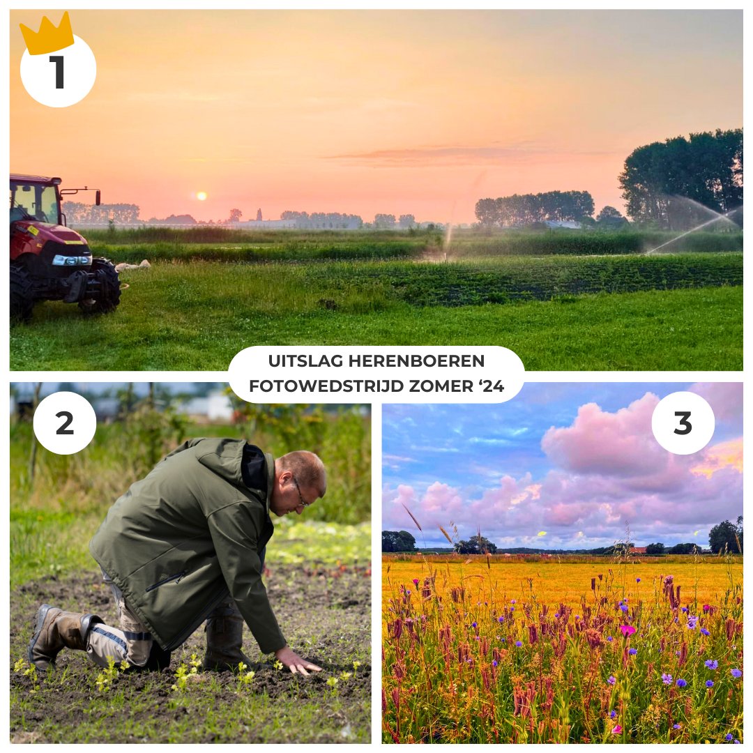 Herenboeren (@herenboeren) on Twitter photo De #winnaar van de 10 jaar Herenboeren #fotowedstrijd!๐ท #zomereditie Deze zomerstuurden de 22 Herenboerderijen hun favoriete zomerfoto's in. De winnende foto is gemaakt door <a href="/albertboersen/">Albert Boersen</a> bij <a href="/hbvlinderstrik/">Herenboeren de Vlinderstrik</a>. Gefeliciteerd! Lees verder op: herenboeren.nl/winnaar-zomer-โฆ De #winnaar van de 10 jaar Herenboeren #fotowedstrijd!๐ท #zomereditie Deze zomerstuurden de 22 Herenboerderijen hun favoriete zomerfoto's in. De winnende foto is gemaakt door <a href="/albertboersen/">Albert Boersen</a> bij <a href="/hbvlinderstrik/">Herenboeren de Vlinderstrik</a>. Gefeliciteerd! Lees verder op: herenboeren.nl/winnaar-zomer-โฆ