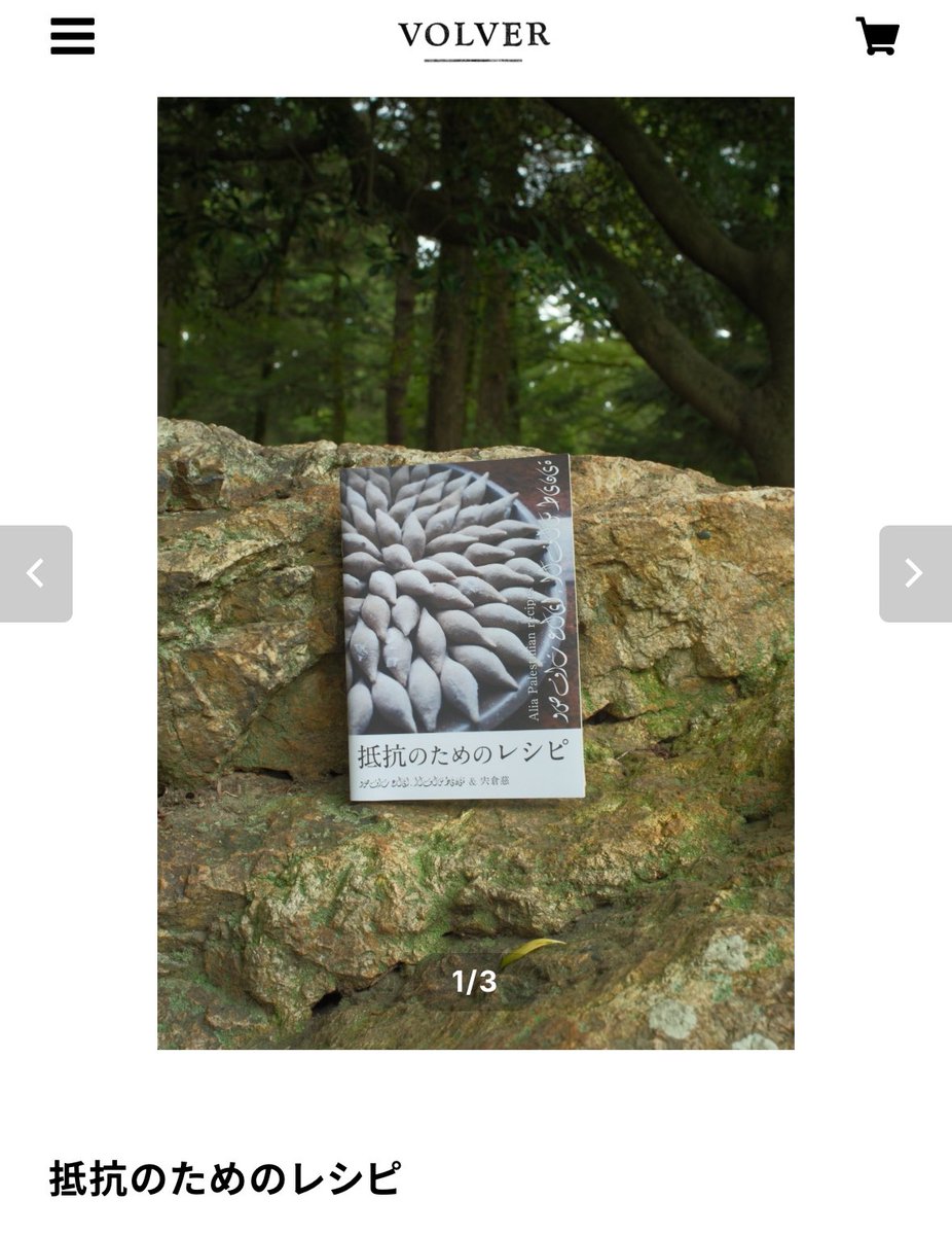 パートナーの宍倉慈がひと夏かけて、ガ ザのアリアさんと作ったパレ スチナ料理のレシピ本『抵抗のためのレシピ』。
以前、彼女はケータリングVolverとレストランKIKAをやっていました。そしてアリアさんも同じくケータリングのお仕事をしていたのです。そんな二人が協働してレシピ本を作りました。