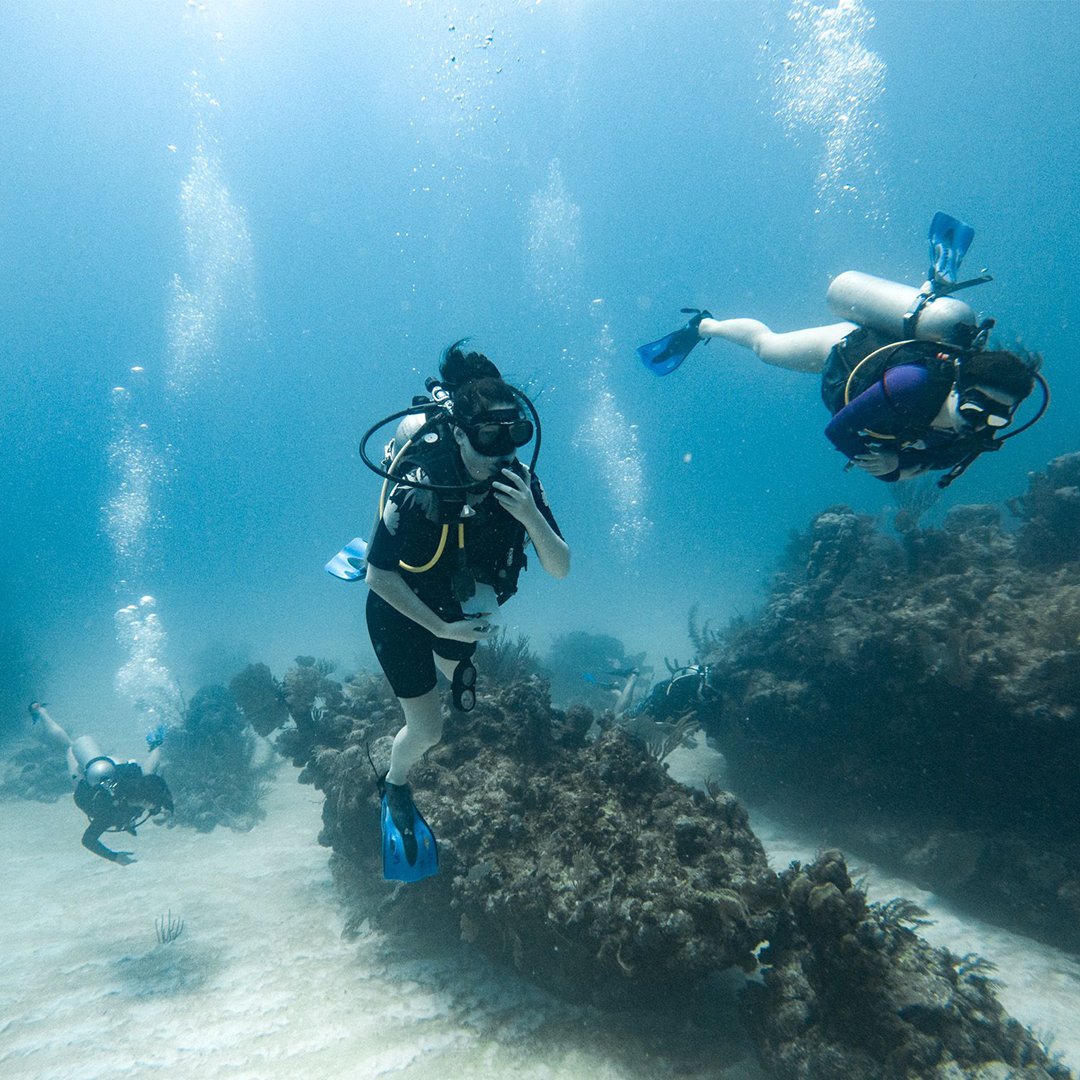 Operation Wallacea (@opwall) on Twitter photo PADI AWARE Week Celebration! We’re excited to announce we had over 700 participants learn to dive with us this season! These incredible individuals are now part of a growing community dedicated to protecting our oceans! PADI AWARE Week Celebration! We’re excited to announce we had over 700 participants learn to dive with us this season! These incredible individuals are now part of a growing community dedicated to protecting our oceans!