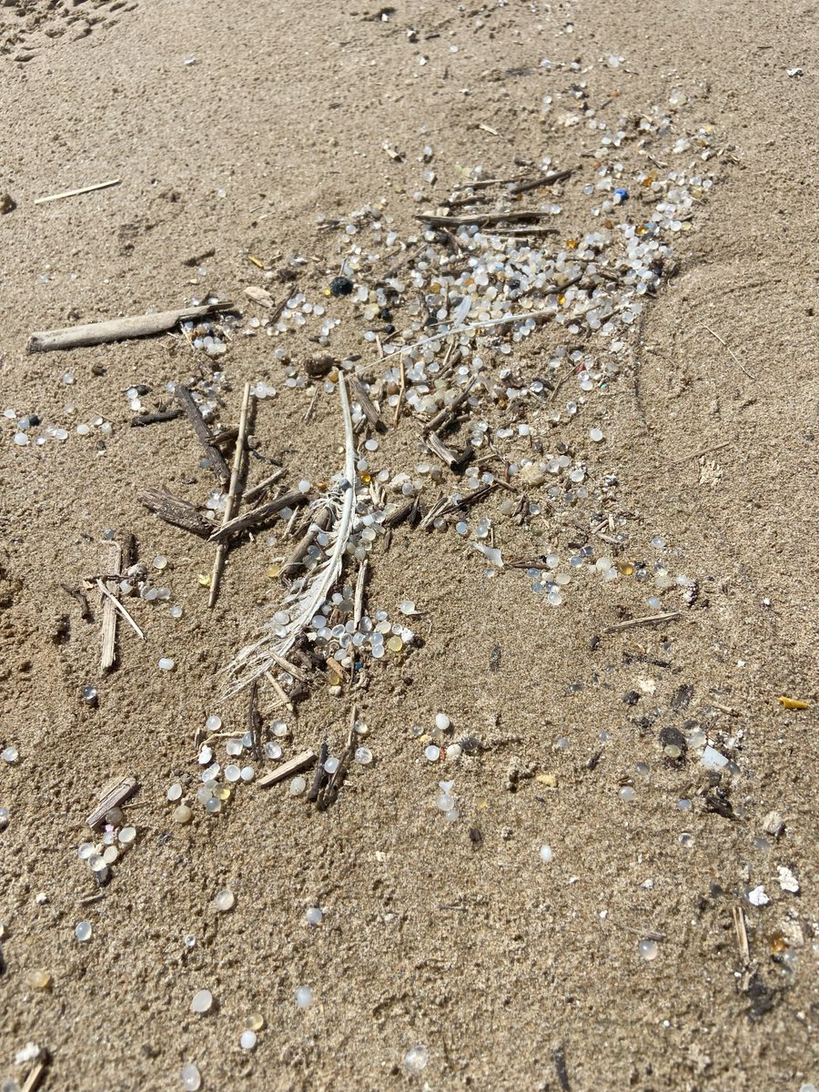 🚨Pellets🚨

🌧️Después de las intensas lluvias caídas en los últimos días, hay derrames «recientes» en el complejo petroquímico de Tarragona, lo que demuestra la ineficiencia de las medidas tomadas hasta ahora...⬇️

surfrider.es/nuevo-vertido-… 

<a href="/goodkarma_org/">Good Karma Projects</a>