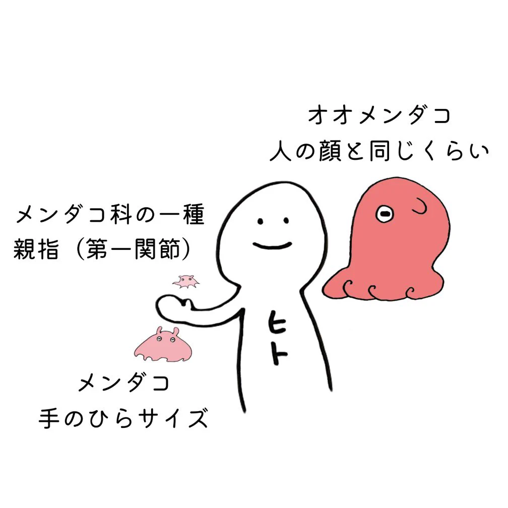 GXrF8bkbQAAAhyo?format=webp&