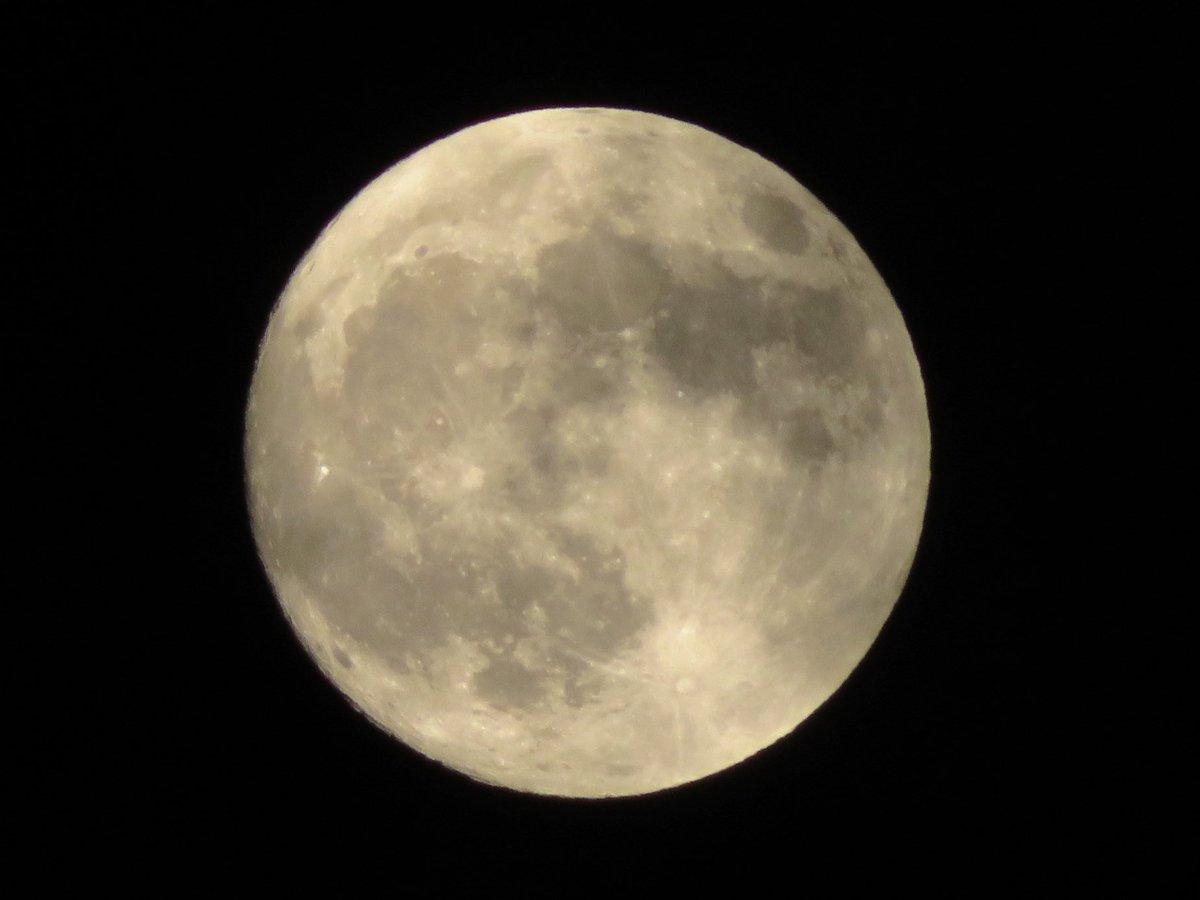 arakencloud's tweet photo. 中秋の名月！🌕 https://t.co/xmfe5HY2Xr