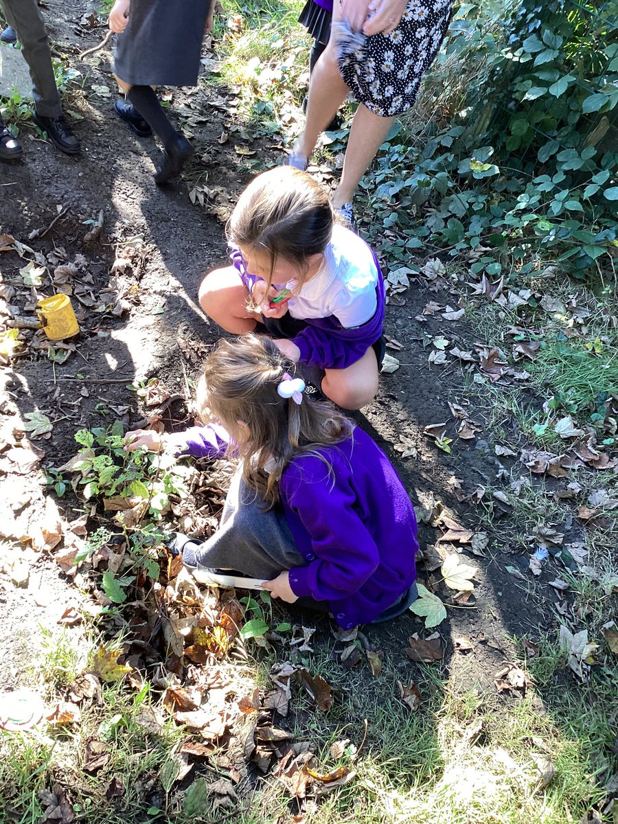 Mrs Rollason tweet media