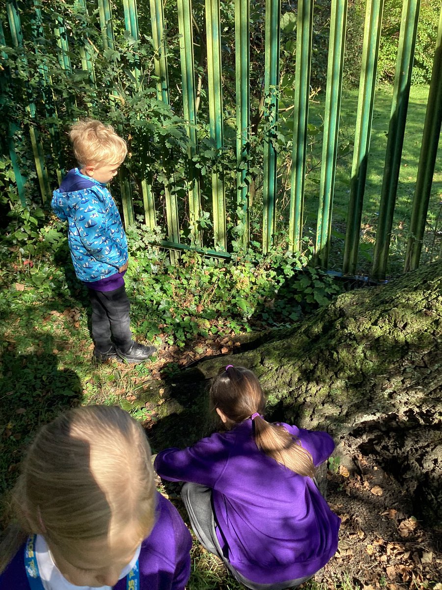 This week in Science Y2 have been exploring microhabitats. <a href="/GarswoodPrimary/">Garswood School</a> <a href="/MissJenkinson/">Rachel Jenkinson</a>