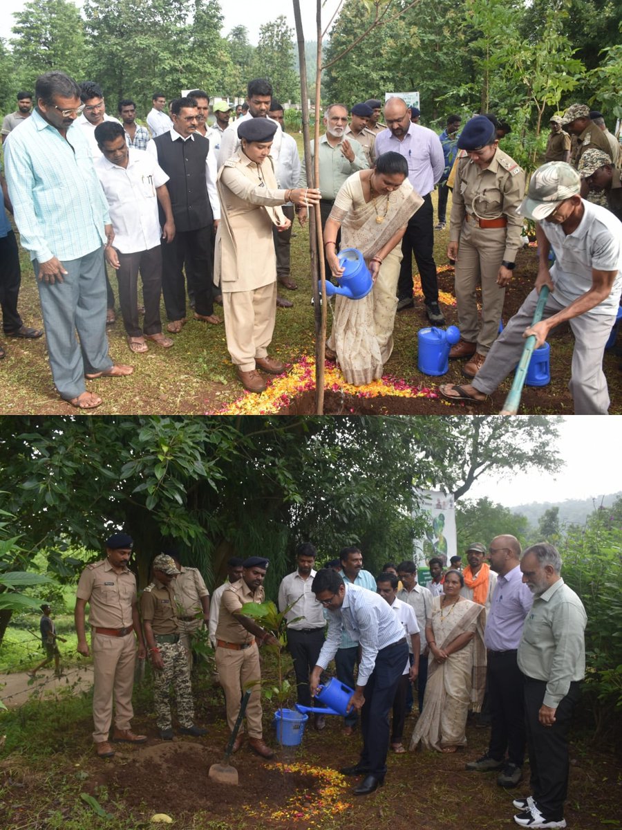 DCF South Dang tweet media