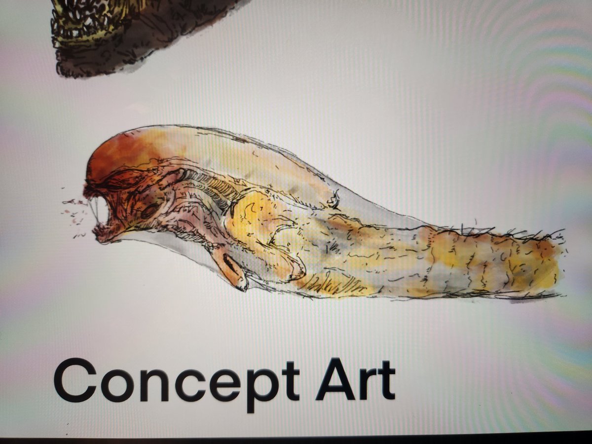 CreatureInk12's tweet photo. To honor the terror of #alienromulus I've had the time to create a concept of my own spin of The Chestburster.
#AlienRomulus #FedeAlvarez #AlienFranchise #SciFiHorror #SciFiMovies #AlienMovie #FedeAlvarezDirector #SpaceHorror #Aliens #SciFiFans #Xenomorph #AlienFans #SciFi https://t.co/nk4ZqRjDII
