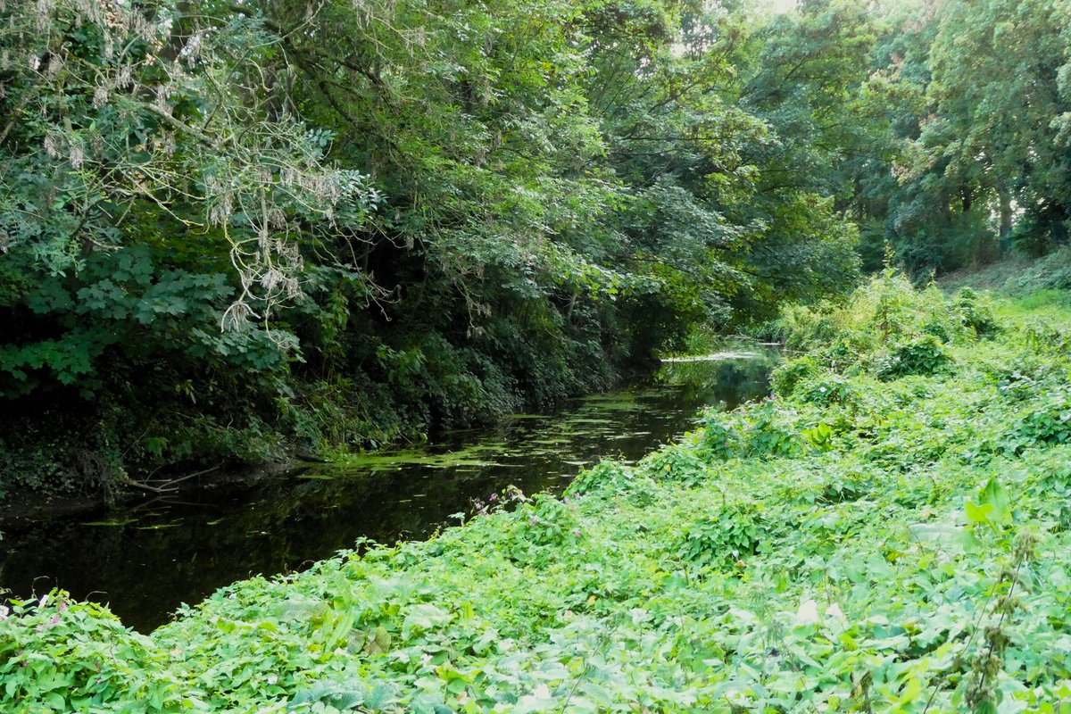 Derek Flack tweet media