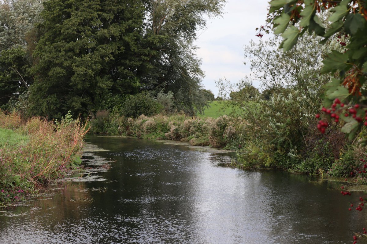 Cotswold Canals Connected (@canalsconnected) on Twitter photo This Thursday you can learn all about canal environment, habitats, and species - for FREE ๐ฟ๐๐คฉ
๐
Thursday 19 September
๐ 1:30pm - 2:30pm
๐ Robinswood Hill Country Park, GL4 6SX
This event is free but must be booked in advance โก bit.ly/canalwildlifetโฆ
<a href="/gloswildlife/">@Gloucestershire Wildlife Trust</a> This Thursday you can learn all about canal environment, habitats, and species - for FREE ๐ฟ๐๐คฉ
๐
Thursday 19 September
๐ 1:30pm - 2:30pm
๐ Robinswood Hill Country Park, GL4 6SX
This event is free but must be booked in advance โก bit.ly/canalwildlifetโฆ
<a href="/gloswildlife/">@Gloucestershire Wildlife Trust</a>