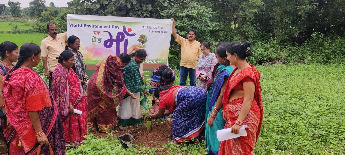 KVK Subarnapur Odisha tweet media