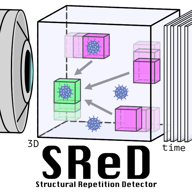 Ricardo Henriques (@henriqueslab) on Twitter photo 🚀🔬🦠 #SReD landed on <a href="/biorxivpreprint/">bioRxiv</a>! Detecting repetitive structures in #microscopy data - from neuron scaffolds to viral morphogenesis. GPU-accelerated multiscale pattern mapping in 💻<a href="/FijiSc/">Fiji</a>!
With <a href="/Bruno_MSaraiva/">Bruno Saraiva</a> <a href="/Micromede/">J Mamede</a> @guijacquemet <a href="/christlet/">Christophe Leterrier</a>
biorxiv.org/content/10.110… 🚀🔬🦠 #SReD landed on <a href="/biorxivpreprint/">bioRxiv</a>! Detecting repetitive structures in #microscopy data - from neuron scaffolds to viral morphogenesis. GPU-accelerated multiscale pattern mapping in 💻<a href="/FijiSc/">Fiji</a>!
With <a href="/Bruno_MSaraiva/">Bruno Saraiva</a> <a href="/Micromede/">J Mamede</a> @guijacquemet <a href="/christlet/">Christophe Leterrier</a>
biorxiv.org/content/10.110…