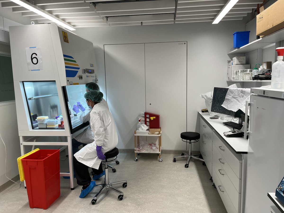 And today we could finally start cell lab work in our new iPSC culture room!