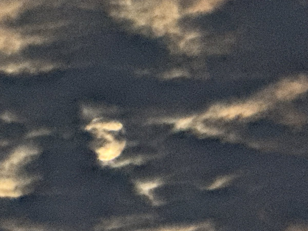 Beautiful night, can't wait for the sky actitivites tonight. Everyone look out on Tuesday night.