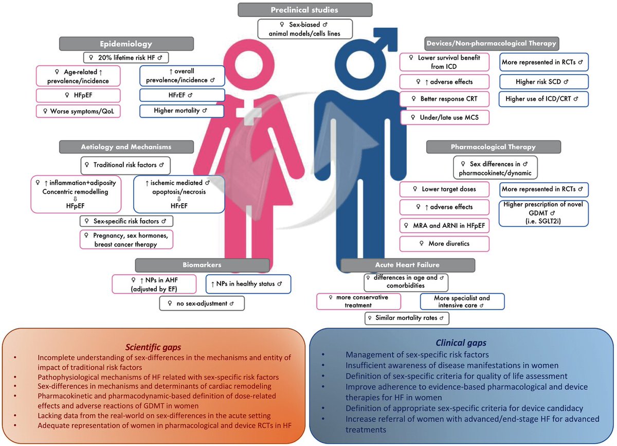 🆕 Presentación, diagnóstico y tratamiento de la insuficiencia cardíaca en mujeres: Documento ESC.

📕 Eur J Heart Fail
🔓 Resumen del artículo en cardioteca.com/insuficiencia-…