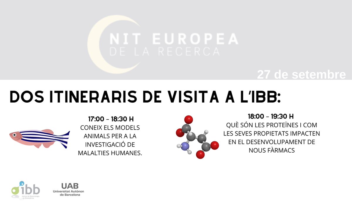 Dos itineraris al teu abast:
🔹 17h Itinerari Models Animals
🔸 18h Itinerari Proteïnes

📝 Registra't aquí: webs.uab.cat/nitrecercat/vi…

😊 T'esperem a l'IBB, al Campus UAB.

#nitrecercat
#nitrecercat24