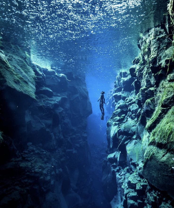 Priyank Ahuja tweet media