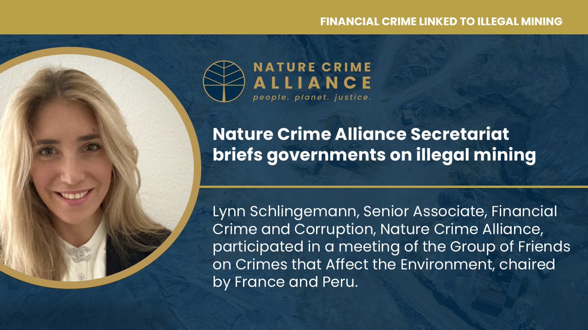NatureCrimeAll's tweet image. Lynn Schlingemann, Senior Associate, Financial Crime and Corruption, Nature Crime Alliance Secretariat, briefed government officials on financial crime linked to illegal mining during recent #UNCAC meetings in Vienna
Read more: naturecrimealliance.org/alliance-secre…
