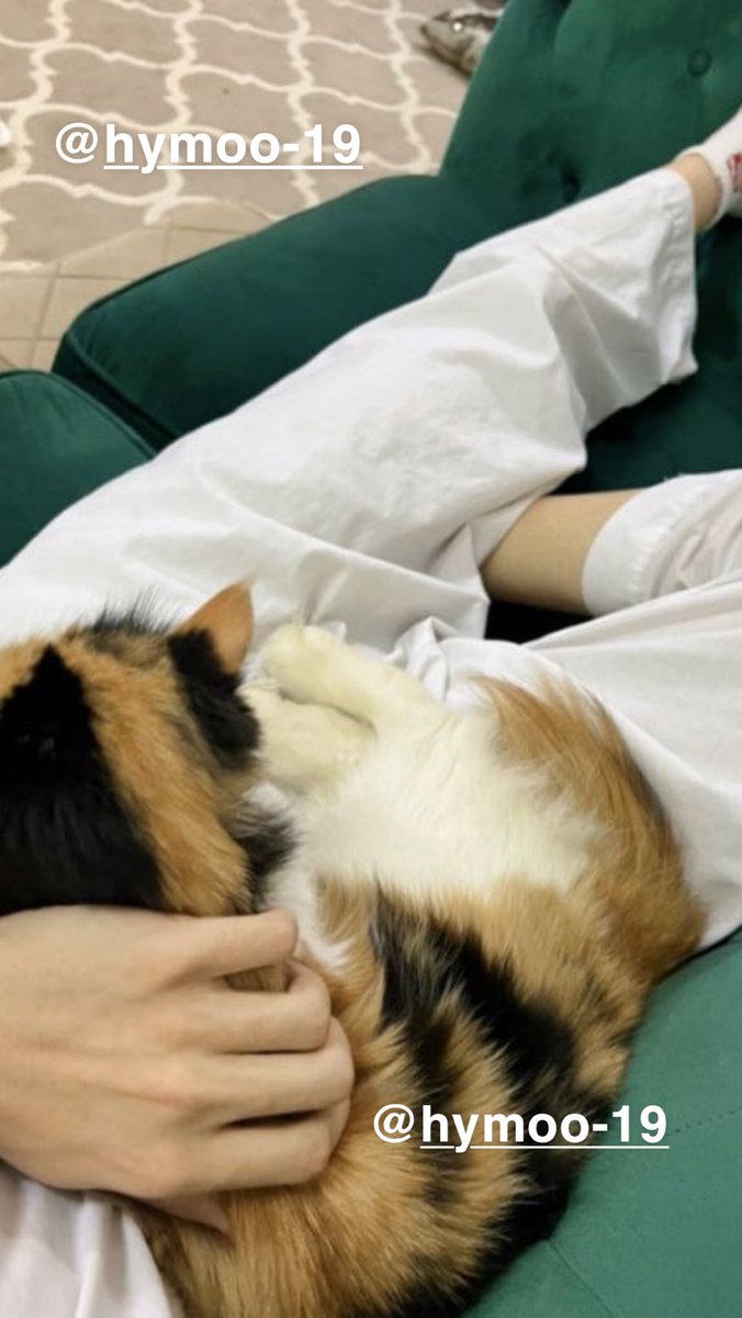 من يحب يكون مكان القطو 
متكي بالسناب تعالوا ياقطاوتي
#سالب_مبادل_موجب
snapchat.com/t/TI3nzGPU