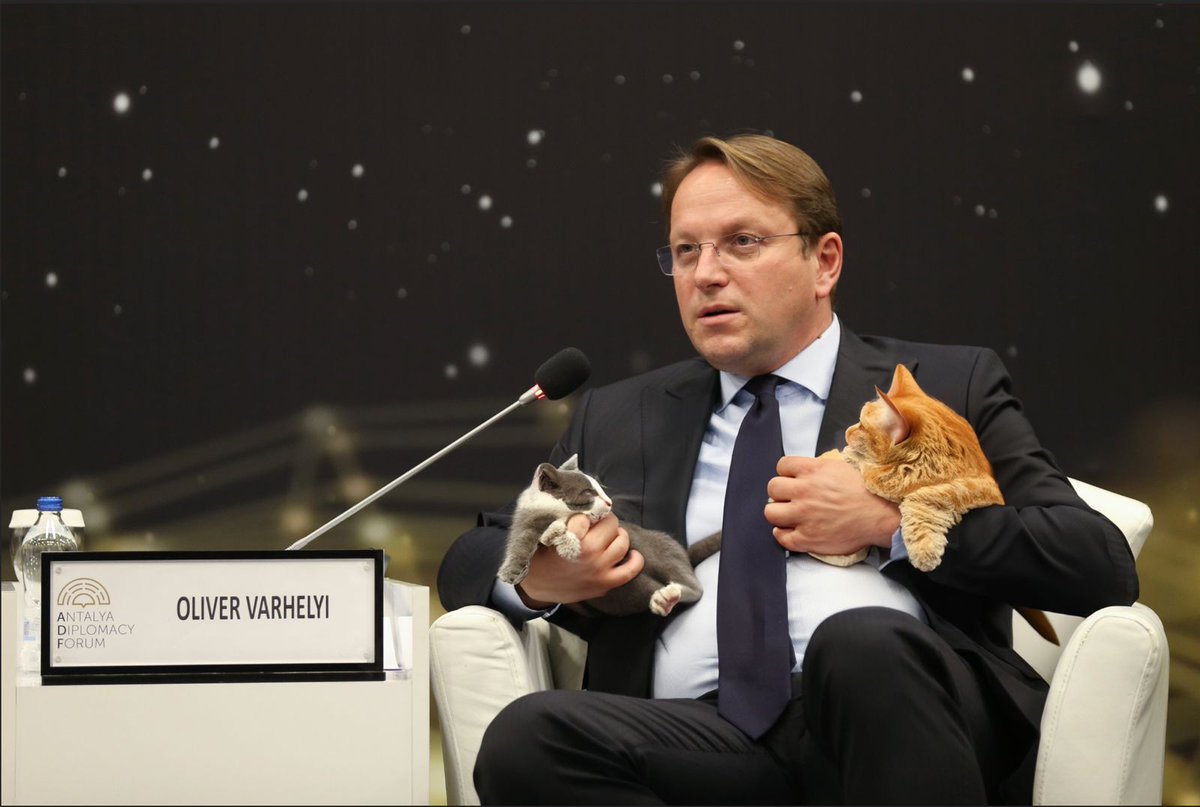 Daniel Freund (@daniel_freund) on Twitter photo EU-Commissioner for Animal Welfare EU-Commissioner for Animal Welfare