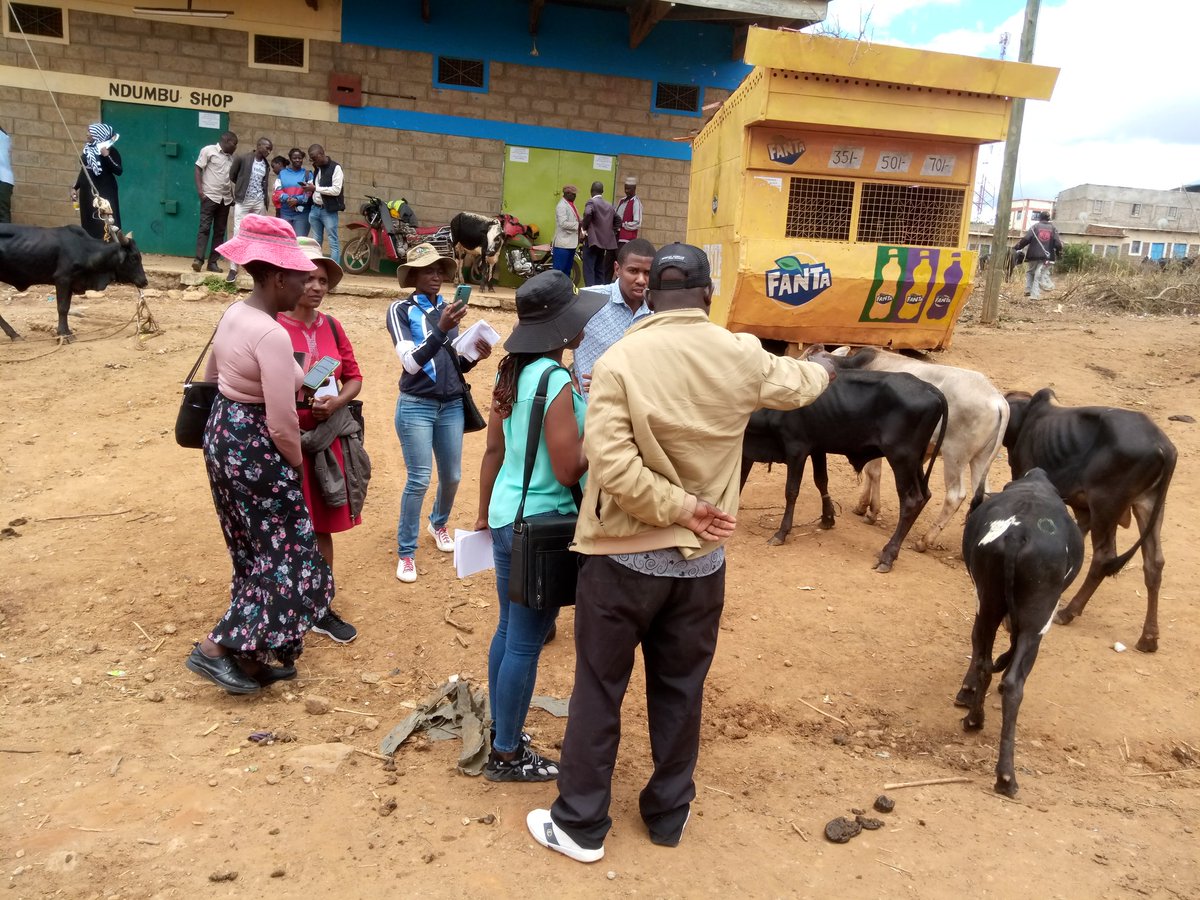 Dovely-Kev (@konyangokev) on Twitter photo Animal health and livestock value chains are firmly anchored within #Agroecology. During <a href="/CGIAR/">CGIAR</a> #AgroecologyInitiative #INALL exchange visit by Zimbabwe, the team learnt about livestock production, marketing, and cultural beliefs in Mbumbuni, Makueni Animal health and livestock value chains are firmly anchored within #Agroecology. During <a href="/CGIAR/">CGIAR</a> #AgroecologyInitiative #INALL exchange visit by Zimbabwe, the team learnt about livestock production, marketing, and cultural beliefs in Mbumbuni, Makueni