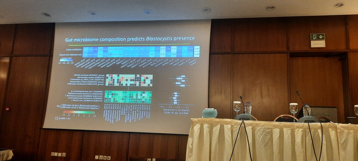 eleni gentekaki (@ciliategal) on Twitter photo Elisa Piperni #blastocystis #gut #protist #parasite? <a href="/BlastocystisC/">BlastocystisCOST</a> <a href="/Blastocystis/">International Blastocystis Network (IBN)</a> <a href="/MicrobioSoc/">Microbiology Society</a> Elisa Piperni #blastocystis #gut #protist #parasite? <a href="/BlastocystisC/">BlastocystisCOST</a> <a href="/Blastocystis/">International Blastocystis Network (IBN)</a> <a href="/MicrobioSoc/">Microbiology Society</a>