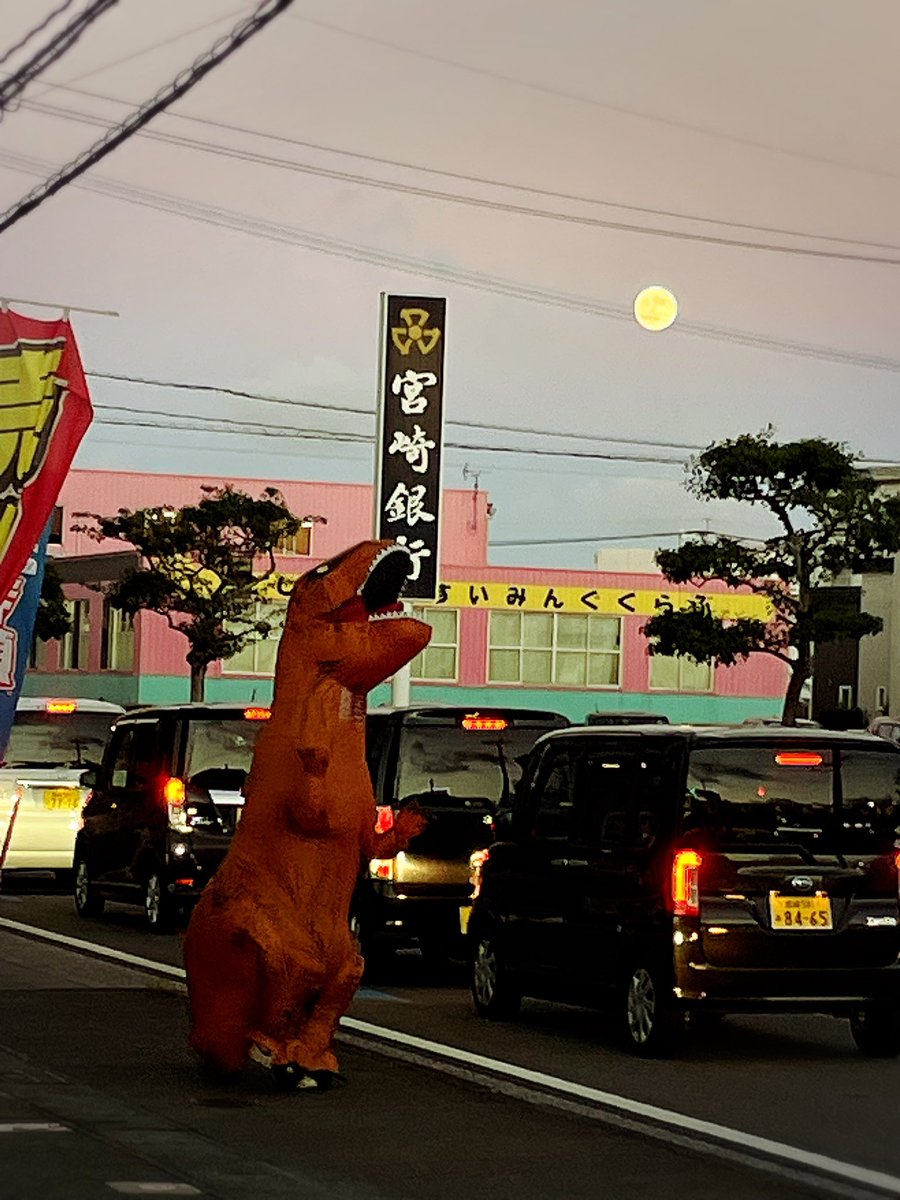 bockrin's tweet photo. 十五夜お月さん♫

#十五夜 #中秋の名月2024 
#哀愁 #恐竜 https://t.co/G1Dax4JqtP
