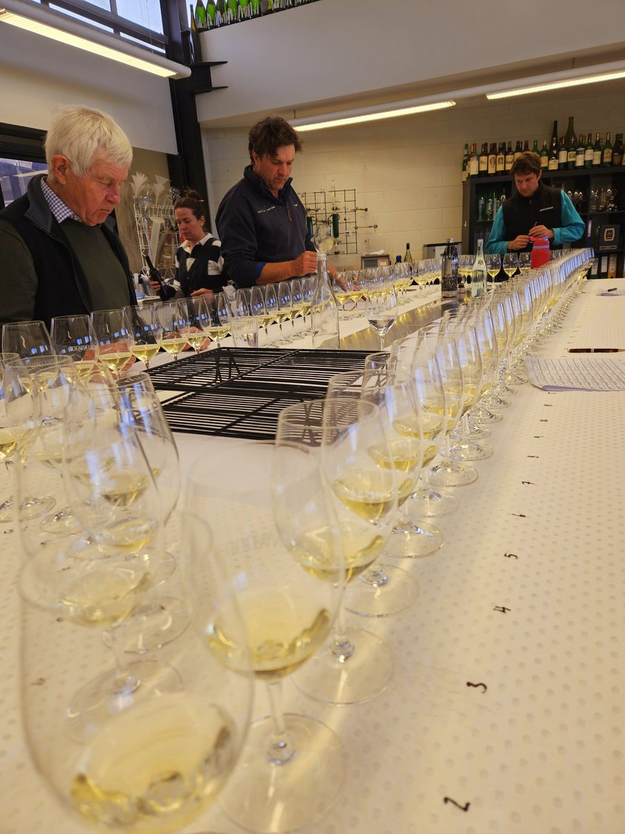 Chardonnay daze, barrel by barrel. V2024 ##beechworth #yarravalley #huntervalley #tumbarumba <a href="/Brokenwood/">BROKENWOOD WINES</a>