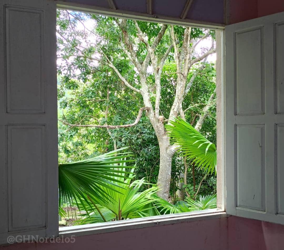 iCuba, qué linda eres!
#Cuba #CDRCuba #TumbaElBloqueo