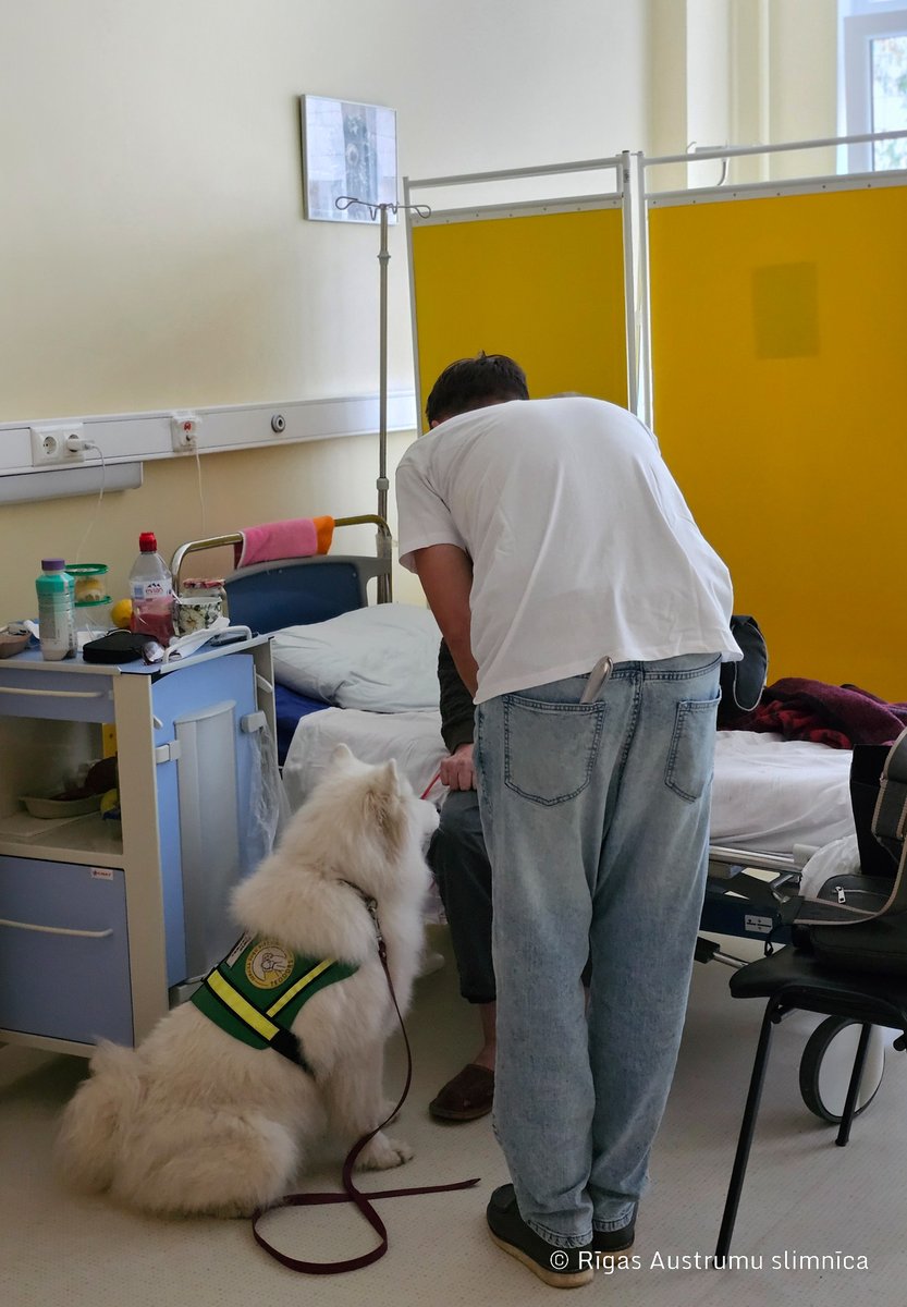 .<a href="/Aslimnica/">Aslimnīca</a> stacionāra "Biķernieki" nedziedināmi slimos pacientus turpmāk reizi mēnesī apciemos īpaši sagatavoti kanisterapijas suņi, kas ļauj gūt pozitīvas emocijas, uzlabot noskaņojumu un atgūt dzīvesprieku. lsm.lv/raksts/zinas/l…