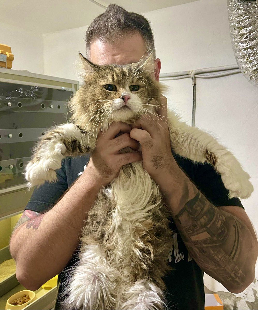Good morning from Ukraine. Two cool dudes. Big Ben the rescued cat and our friend Uncle Eugene <a href="/eugenehmg/">Eugene Kibets</a>.