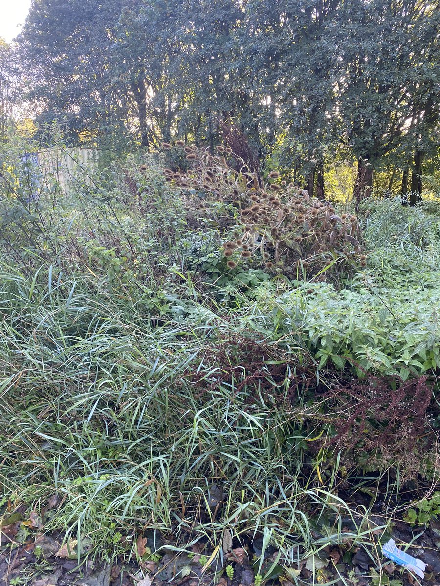 <a href="/TraffordCouncil/">Trafford Council</a> <a href="/OneTrafford/">One Trafford</a>. It’s now more than a year since the Samagam festival and still nothing has been put right. How long do we have to wait for this to be sorted?