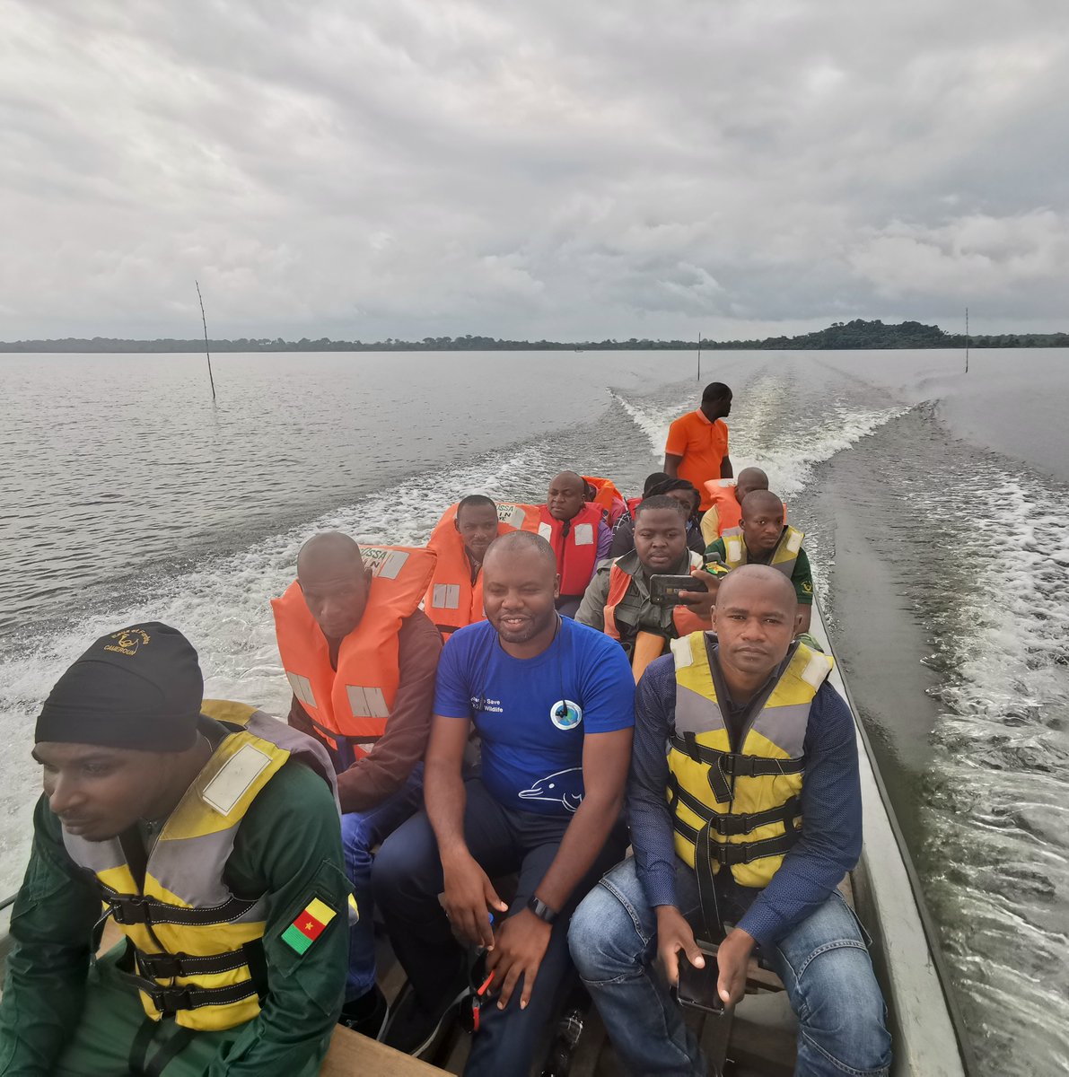 Great news! <a href="/KamlaTakoukam/">Aristide Takoukam Kamla</a>'s #SIRENApp is now being used beyond #Cameroon! 🌍 His team trained partners in #SãoTomé, #Príncipe, and #Gabon to protect #marinewildlife like #whalesharks🐋 &amp; #turtles🐢Catch Aristide on our #HowToSaveIt #podcast this Friday! 🎧
#ConservationInAction