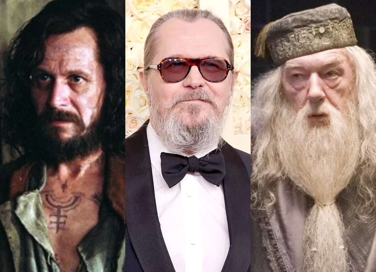 Gary Oldman, actor que interpretó a Sirius Black, se ha ofrecido para dar vida a Albus Dumbledore en la nueva serie de Harry Potter para Max. Hágase.