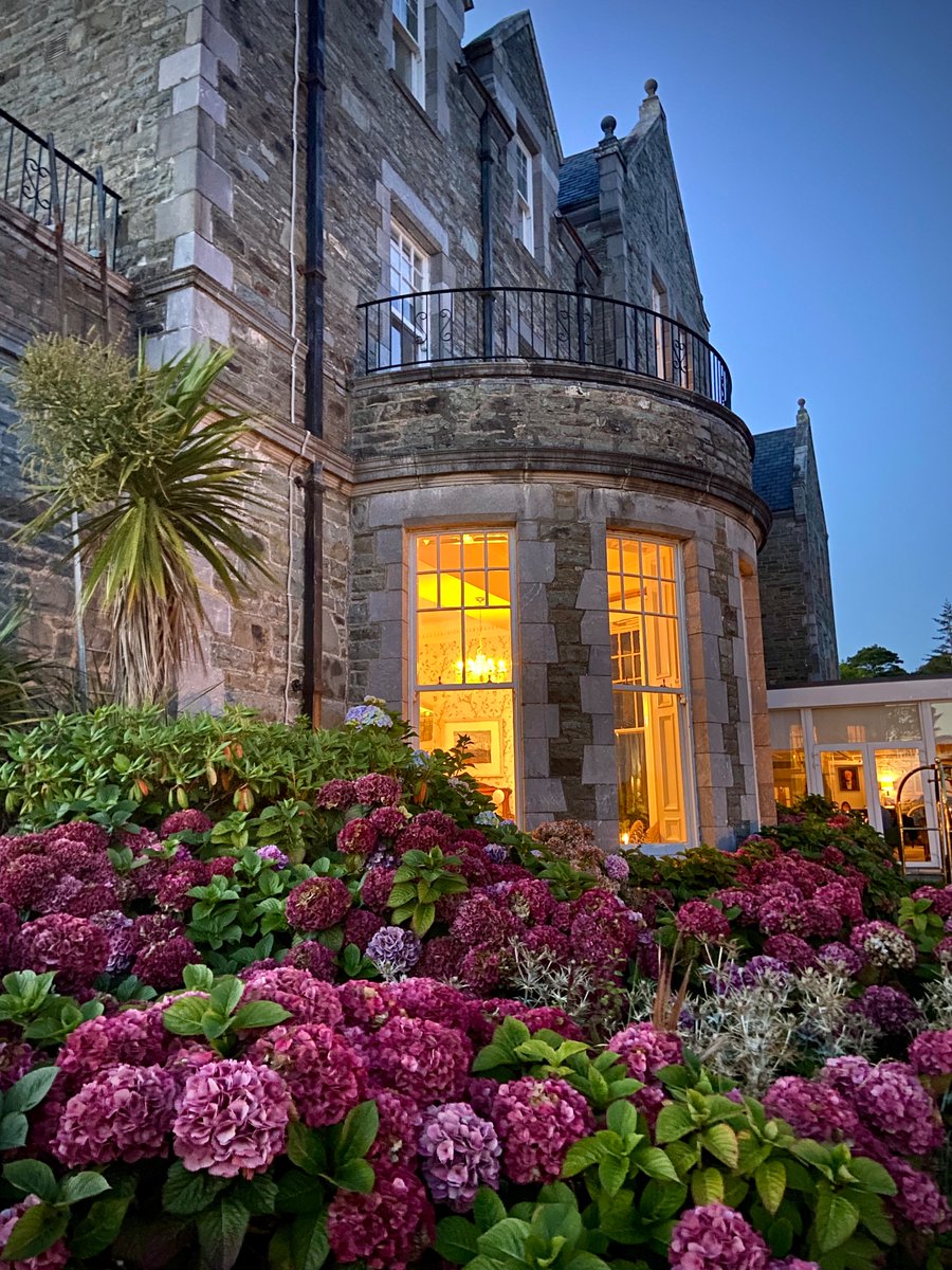 AmandaGeard's tweet photo. A fine twilight at @parknasilla 🌙 

#LoveKerry 🇮🇪 https://t.co/xGNeWo9KSr